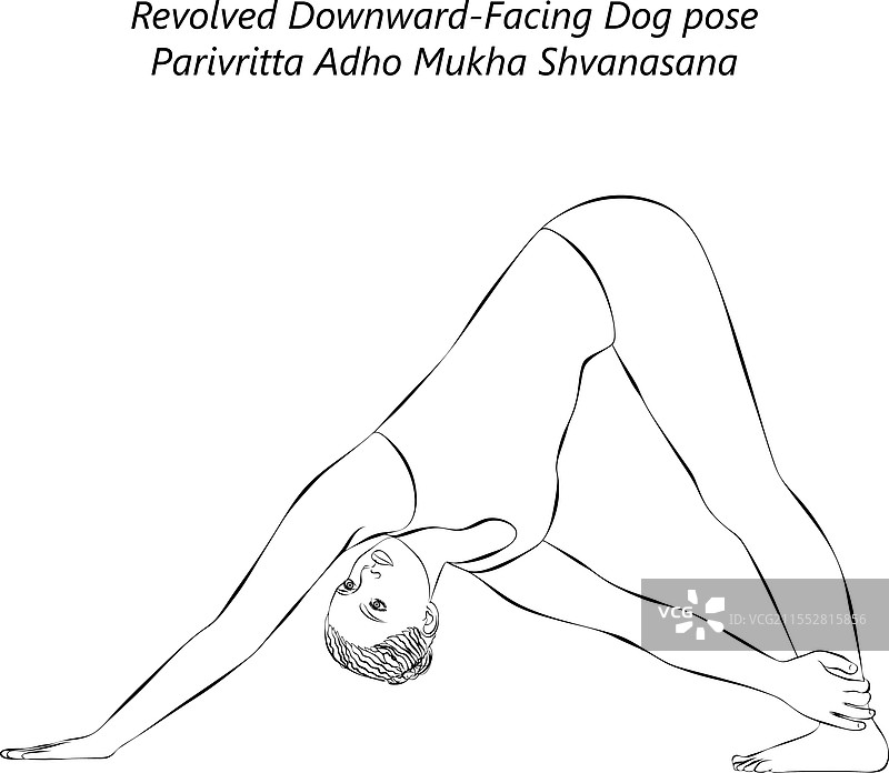 反向下犬式瑜伽的素描图片素材