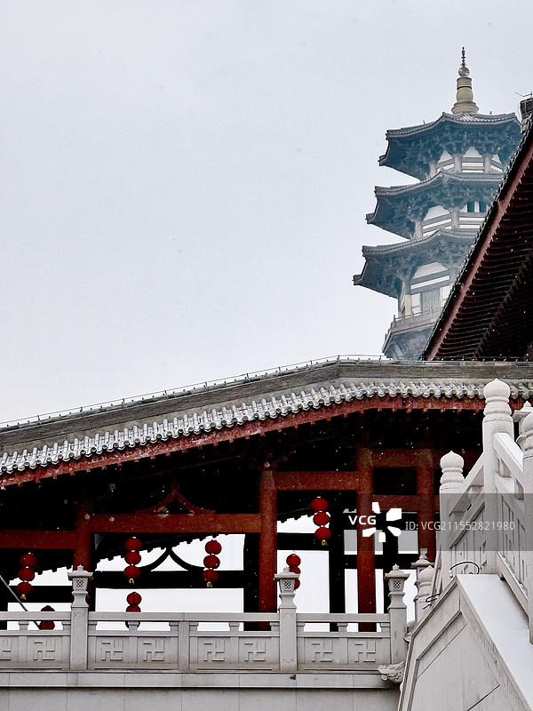 圣诞到春节的一些见闻图片素材