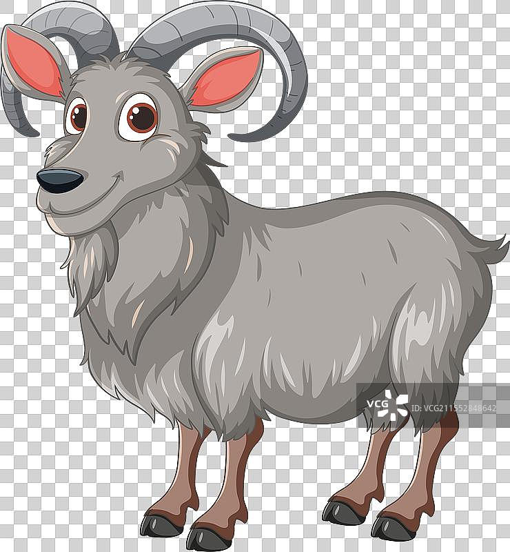 一只可爱微笑的山羊图片素材