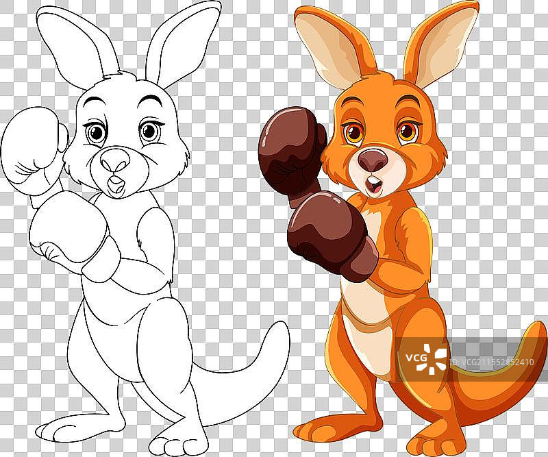 一只戴着拳击手套的袋鼠图片素材