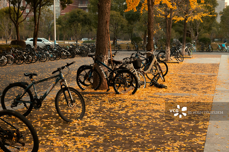 长沙理工大学自行车摆放虚化复古镜头特写图片素材