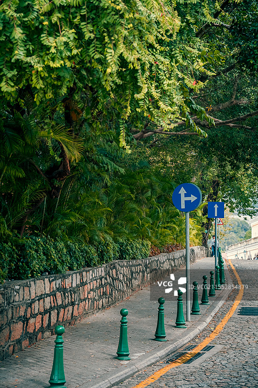 城市道路上的路标图片素材