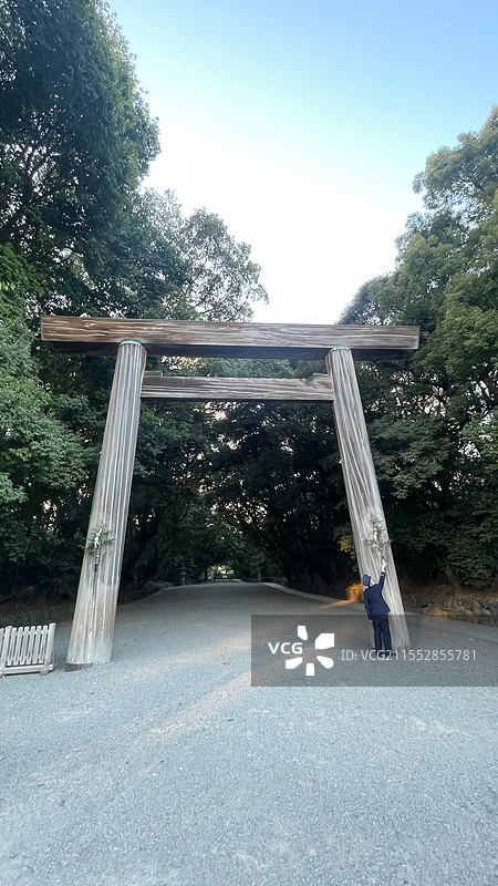 热田神宫鸟居与表参道图片素材