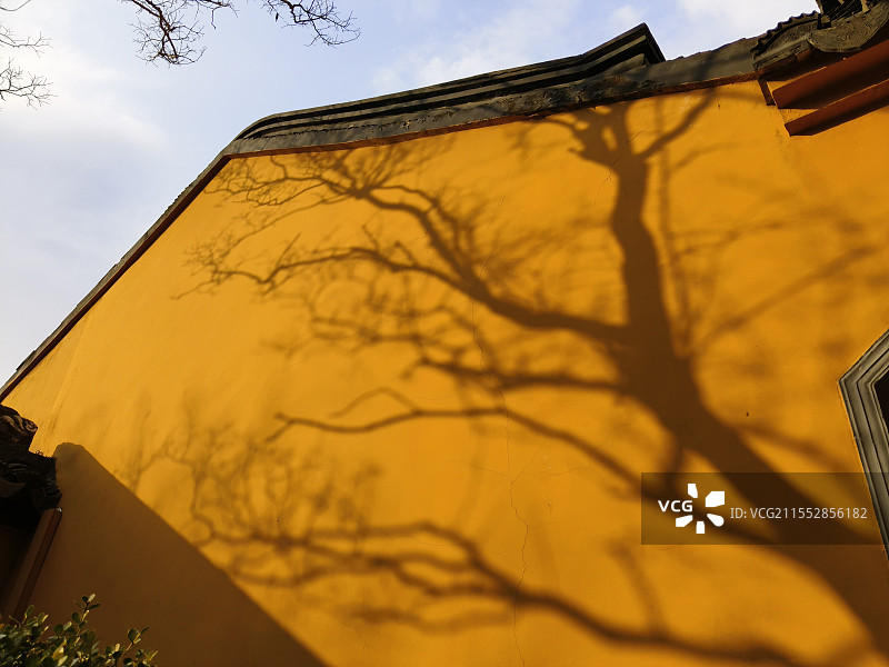 司徒庙黄色墙壁上的树影图片素材