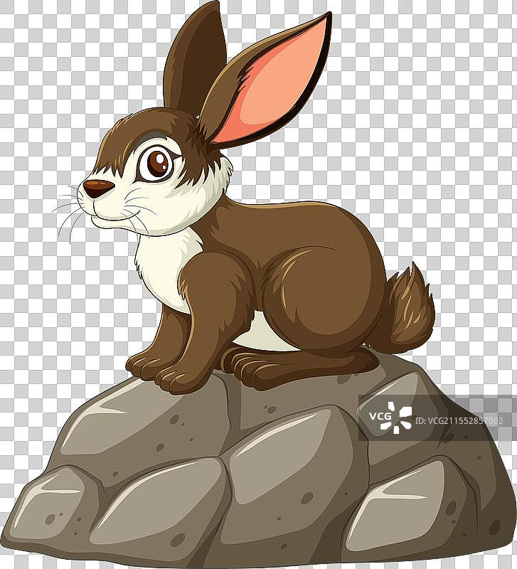 一只兔子栖息在石头上图片素材