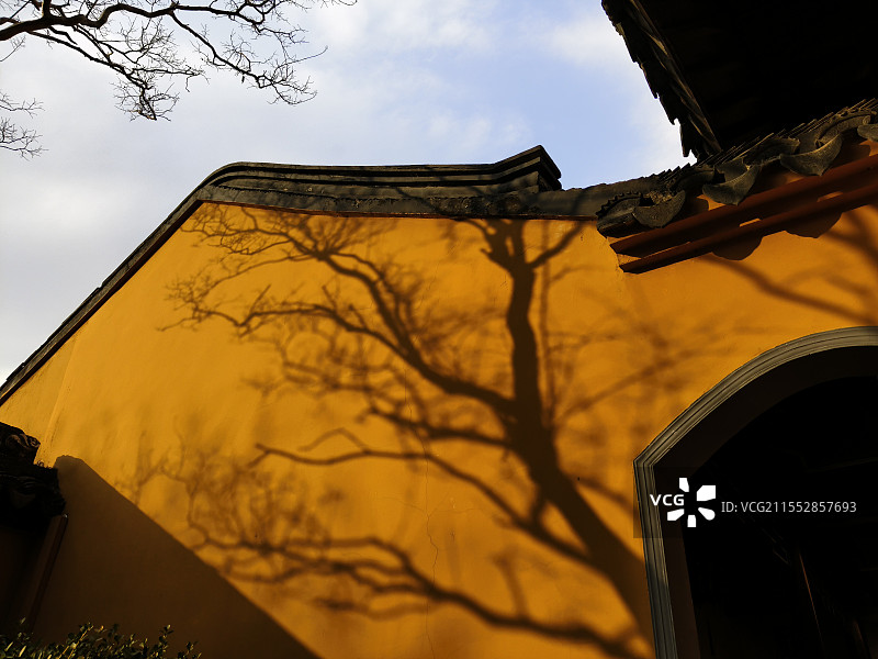 司徒庙黄色墙壁上的树影图片素材