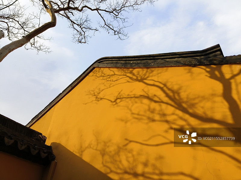 司徒庙黄色墙壁上的树影图片素材