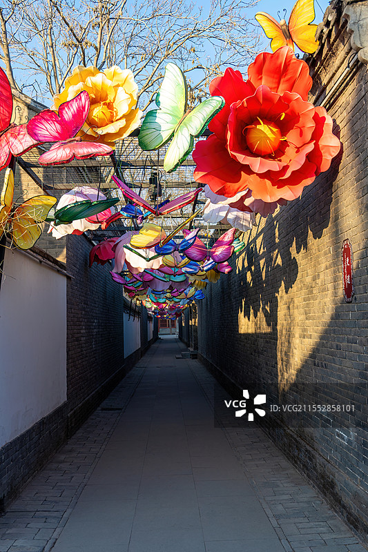 河北省省会石家庄市正定古城荣国府网红打卡点——蝴蝶、牡丹巷道（胡同）图片素材