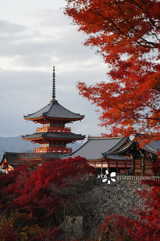 京都清水寺枫叶季图片素材