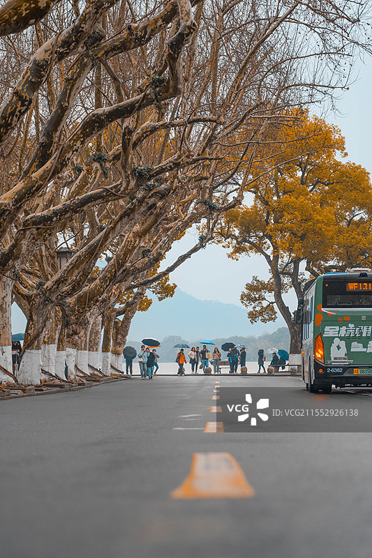 杭州西湖沿途公路图片素材
