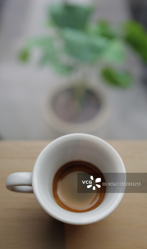 咖啡与绿箩图片素材