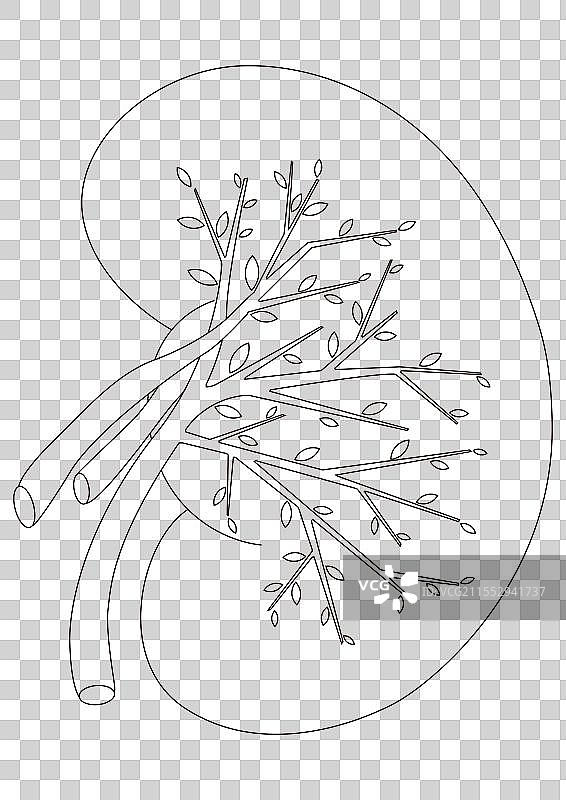 呵护肾脏概念手绘线条元素图片素材