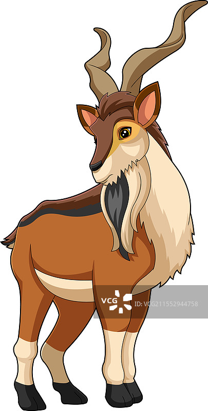 马尔科尔动物卡通角色图片素材