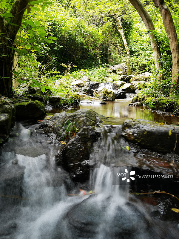 森林瀑布的低角度视图图片素材