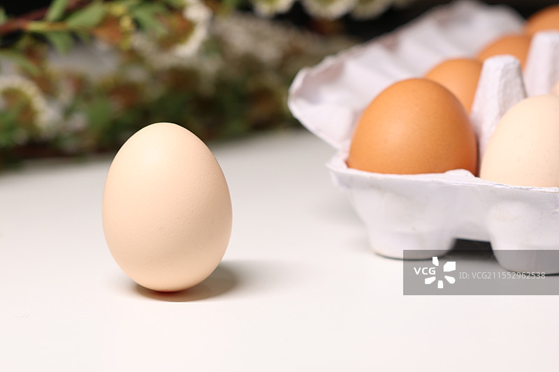 春分立鸡蛋图片素材