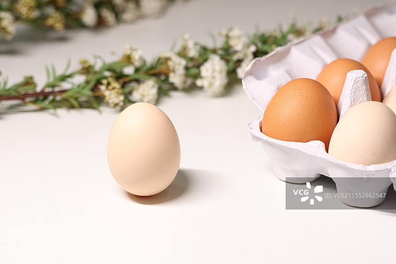 春分立鸡蛋图片素材