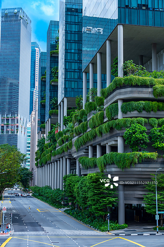 城市森林图片素材