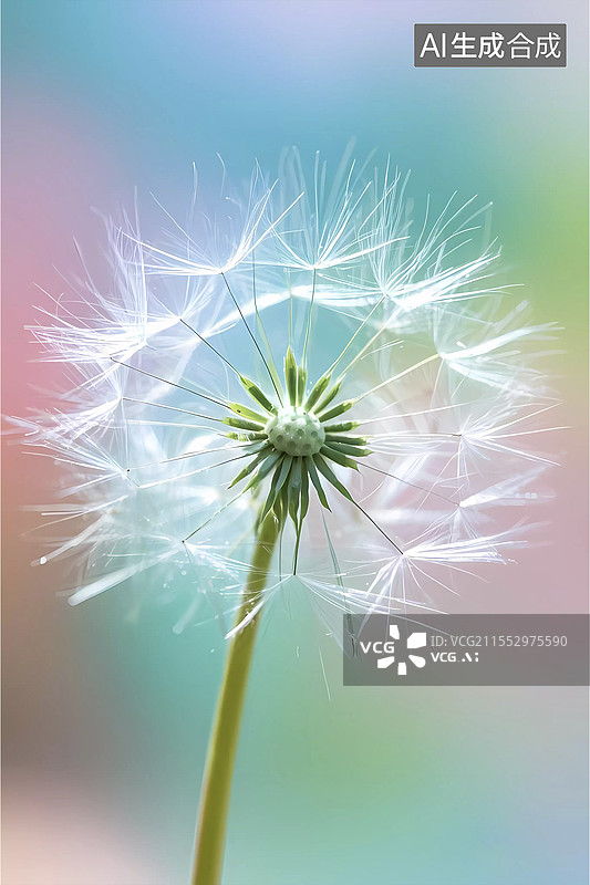 【AI数字艺术】清新唯美浦公英特写图片素材