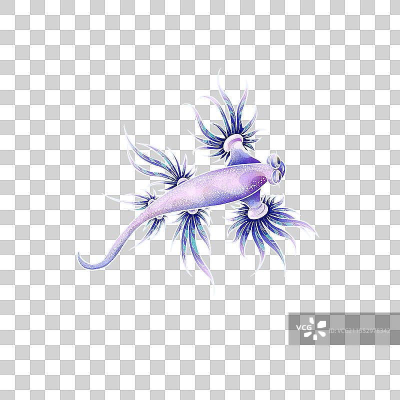 蓝海龙图片素材