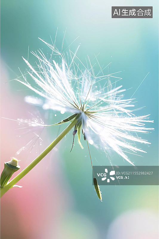 【AI数字艺术】清新唯美浦公英特写图片素材
