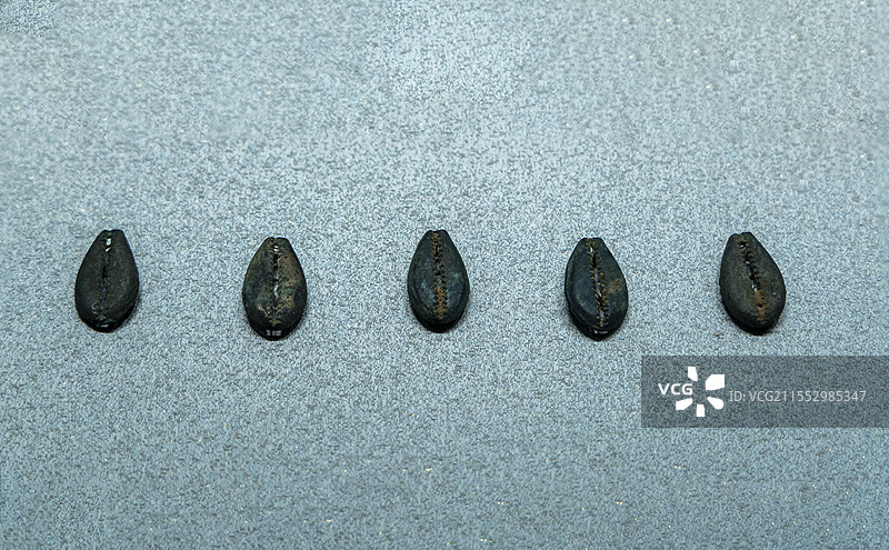 山西博物院“夏商踪迹”展：铜贝（商，山西省忻州市保德县林遮峪遗址出土）图片素材