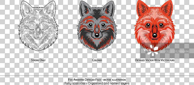 狐狸面孔 - 逼真的动物 - 有序的图层图片素材
