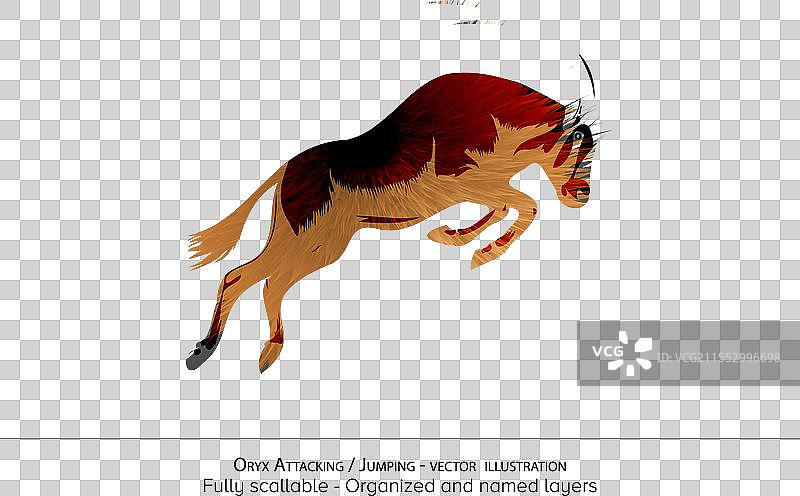 羚羊攻击 - 羚羊跳跃 - 细节丰富图片素材