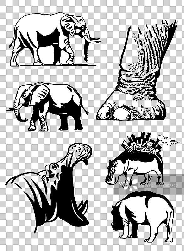 白色背景上的大象和河马图形组合集图片素材