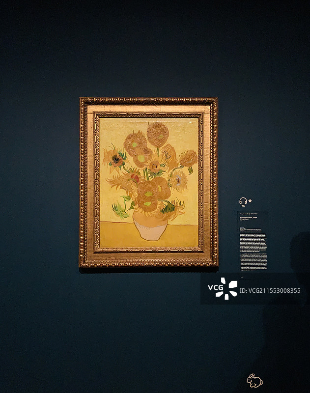 荷兰阿姆斯特丹梵高博物馆-向日葵图片素材