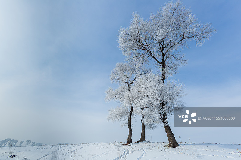 吉林市龙潭区雾凇岛自然景观雾凇盛景图片素材