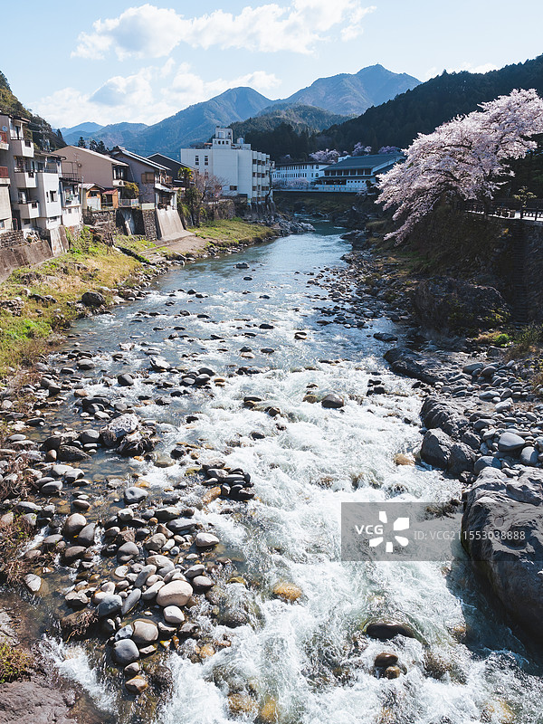 日本樱花季郡上市郡上八藩长良川风景图片素材