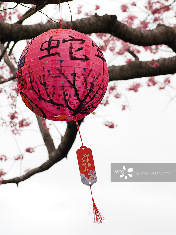 福建龙岩漳平永福樱花园庆祝蛇年春节图片素材