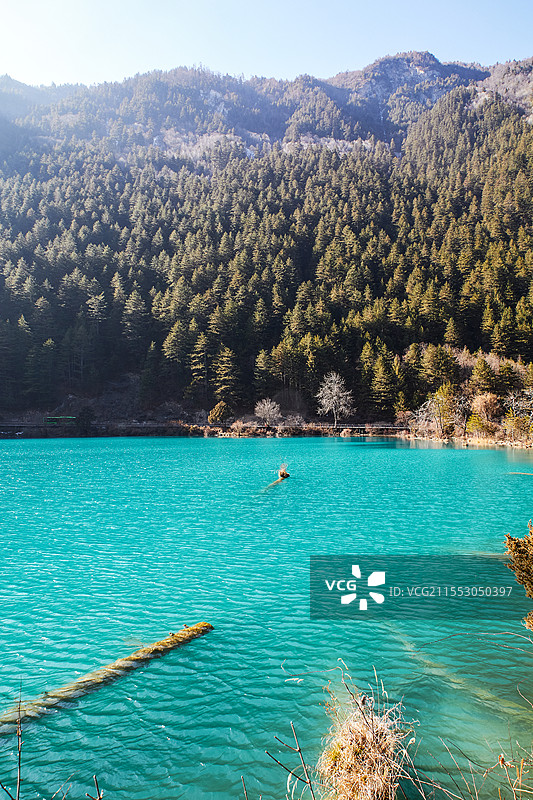 九寨沟 长海 倒影图片素材