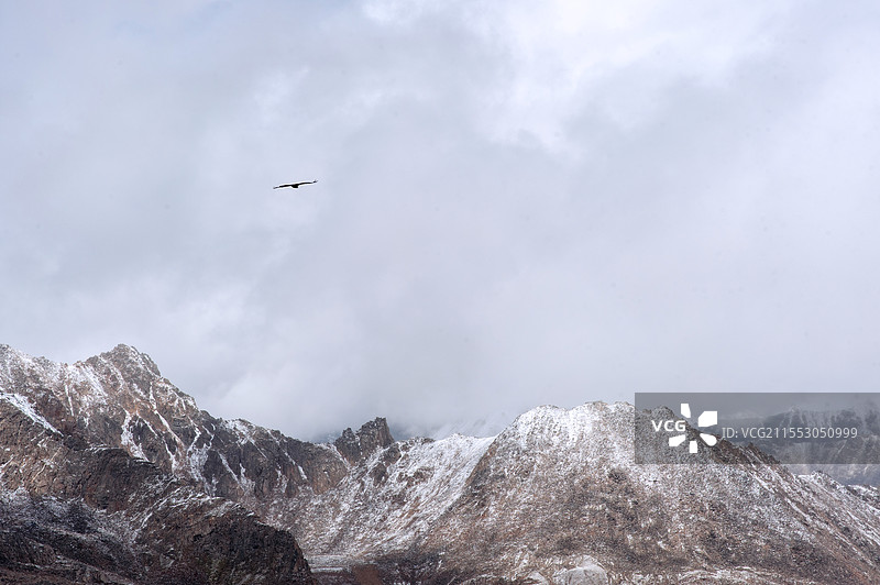 林芝山南拉姆拉错图片素材