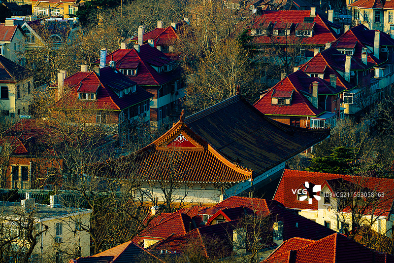 山东青岛城市海滨风光城市特写图片素材