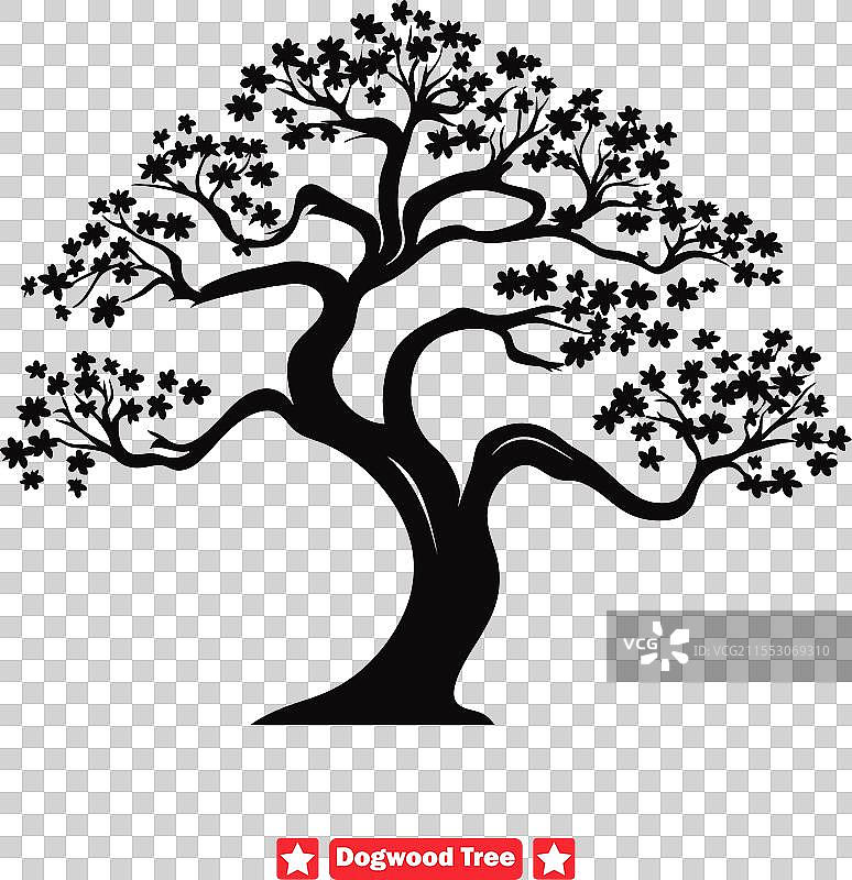 山茱萸树的剪影构成了一幅宁静的画面图片素材