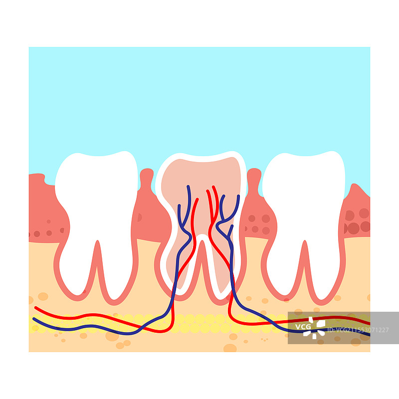 牙科护理概念扁平风格图片素材