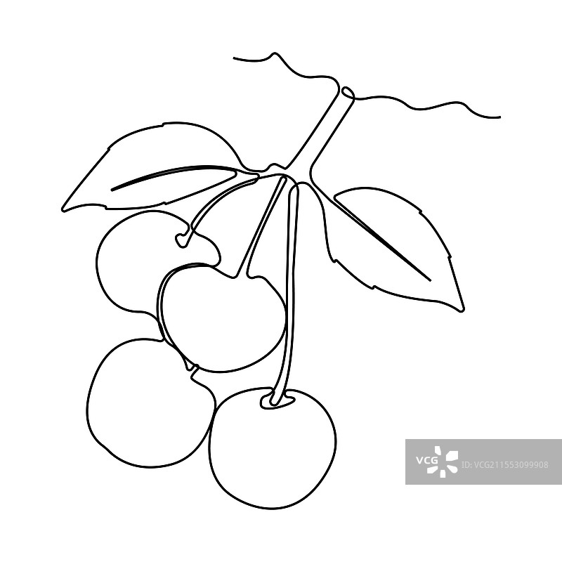 简单的樱桃水果线条艺术画樱桃水果图片素材