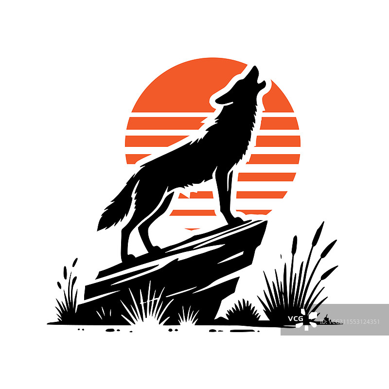 土狼在嚎叫图片素材