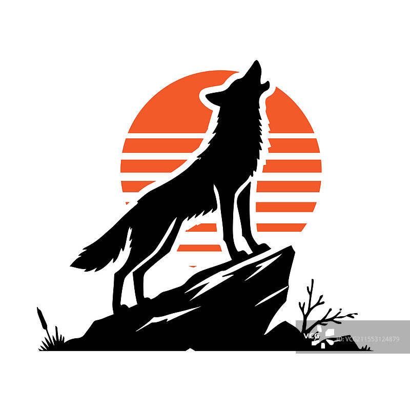 土狼在嚎叫图片素材