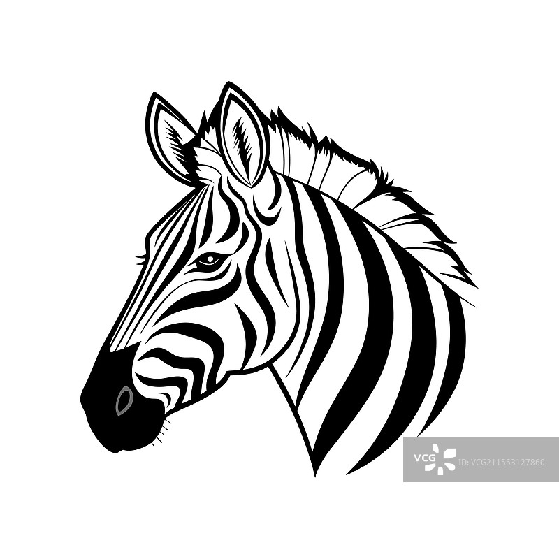 手绘的跳跃条纹斑马图片素材