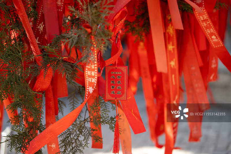 树上悬挂的祈福红丝带图片素材