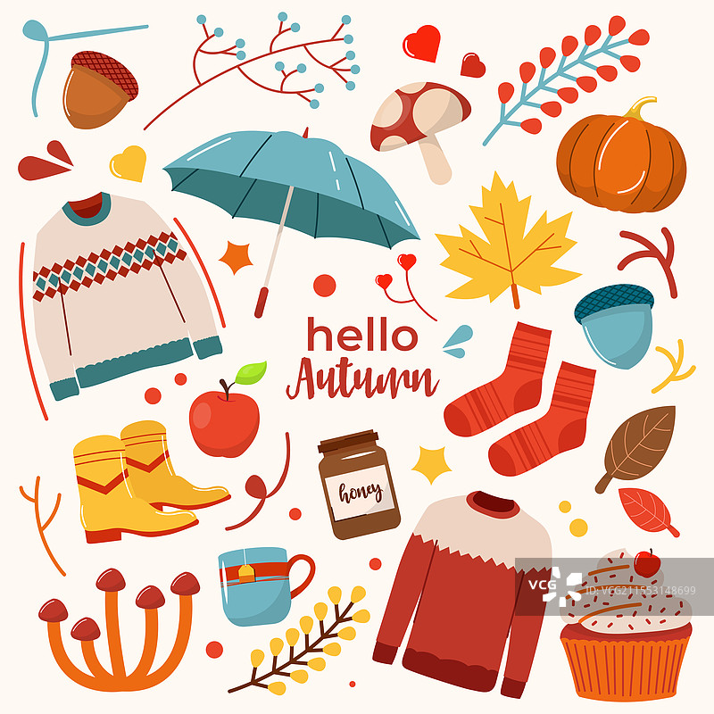 现代简约的秋季设计与植物图片素材