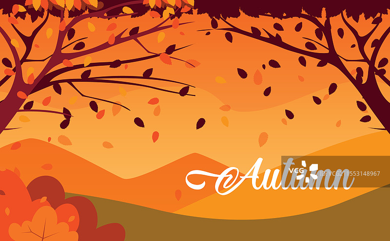 现代简约的秋季设计图片素材