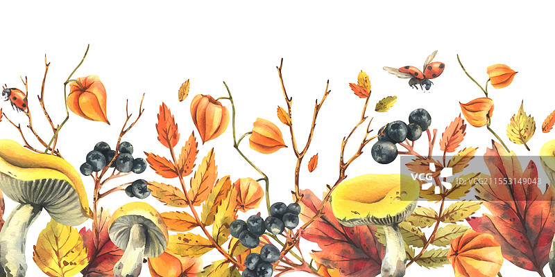 秋季背景图片素材