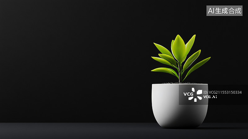 【AI数字艺术】黑色背景花盆绿色植物图片素材