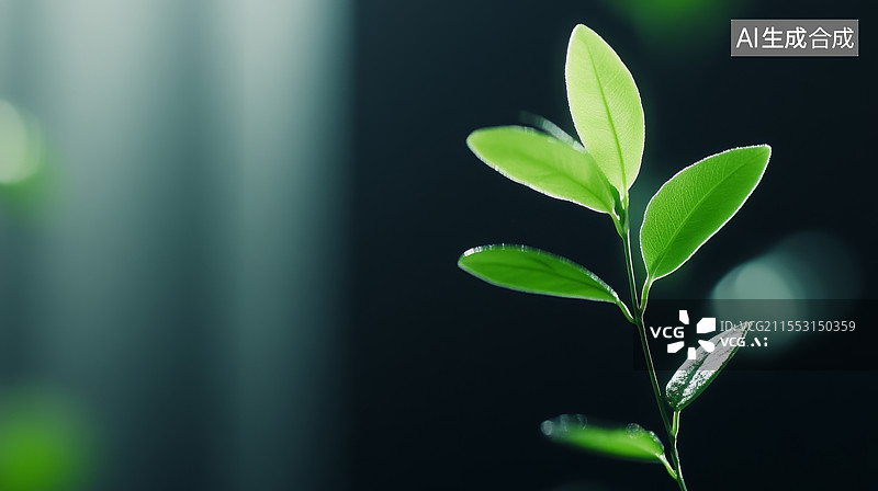 【AI数字艺术】黑色背景花盆绿色植物图片素材