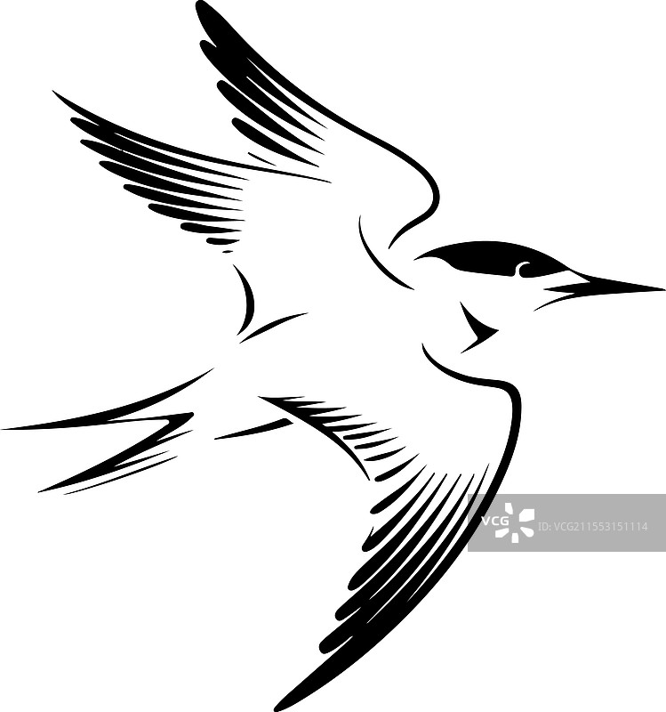 鸟儿飞得很快图片素材