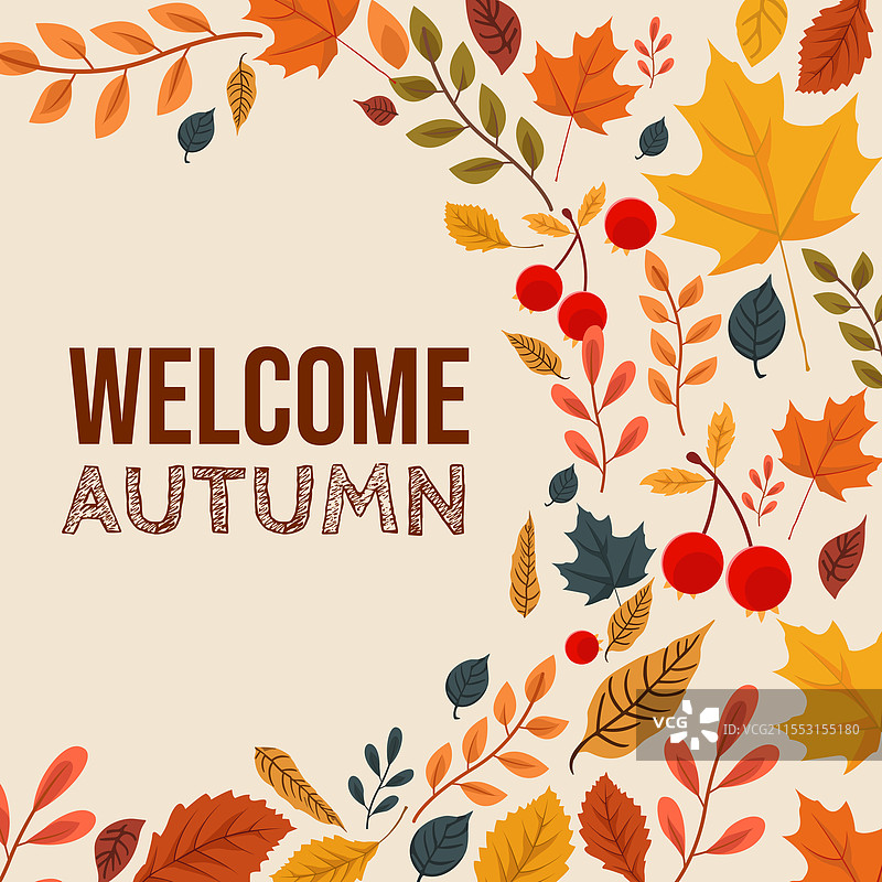 秋季背景图片素材