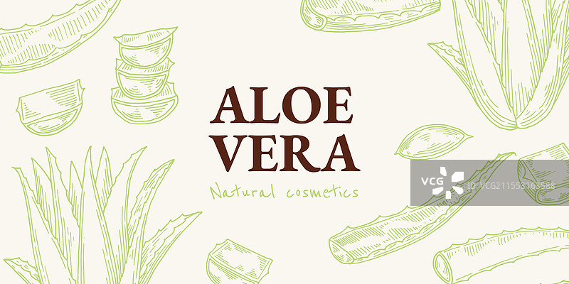芦荟背景横幅图片素材